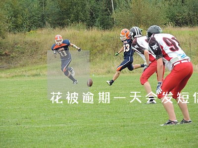 花被逾期一天会发短信吗