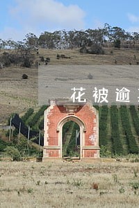 花被逾期一天会怎么样 花被逾期一天会怎么样