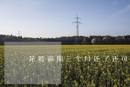 花被逾期三个月还了还可以用吗 花被逾期三个月还了还可以用吗