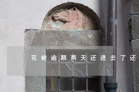 花被逾期两天还进去了还可以用吗 花被逾期两天还进去了还可以用吗