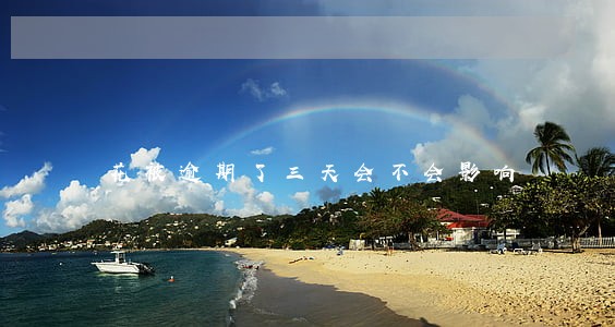 花被逾期了三天会不会影响 花被逾期了三天会不会影响