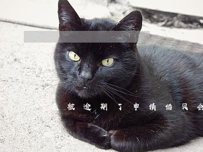 花被逾期了申请借贝会有影响吗 花被逾期了申请借贝会有影响吗