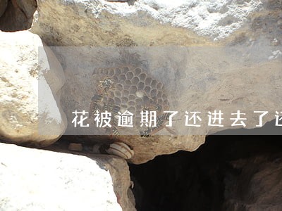 花被逾期了还进去了还有额度