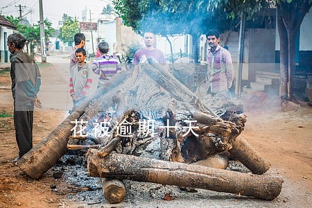 花被逾期十天 花被逾期十天