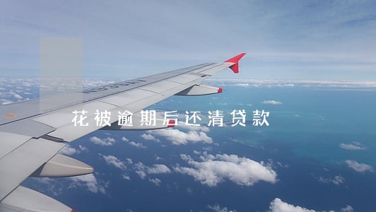 花被逾期后还清贷款 花被逾期后还清贷款