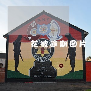 花被逾期图片