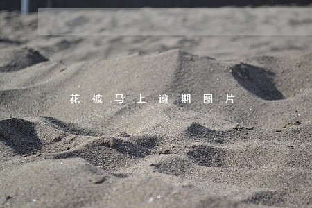 花被马上逾期图片