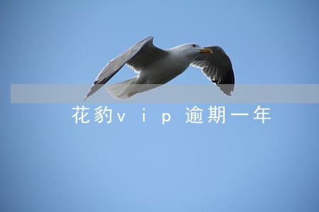 花豹vip逾期一年 花豹vip逾期一年