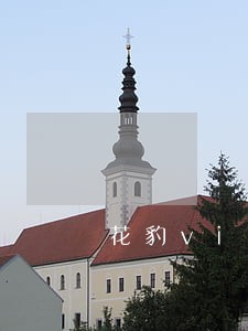 花豹vip逾期两天 花豹vip逾期两天