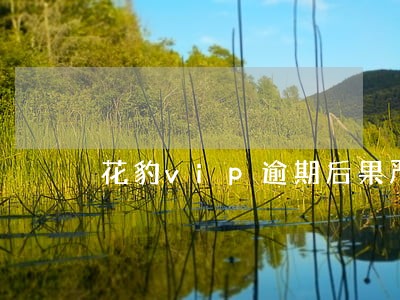 花豹vip逾期后果严重吗 花豹vip逾期后果严重吗