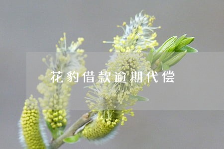 花豹借款逾期代偿 花豹借款逾期代偿