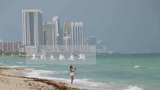 花豹欠款逾期 花豹欠款逾期