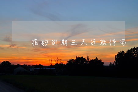 花豹逾期三天还能借吗