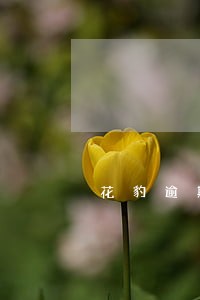 花豹逾期会有工作人员上门么 花豹逾期会有工作人员上门么