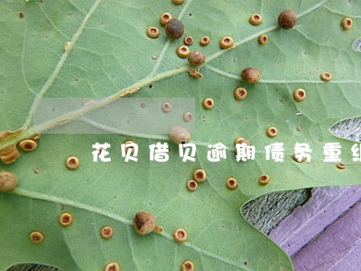 花贝借贝逾期债务重组 花贝借贝逾期债务重组