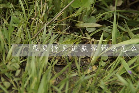 花贝借贝逾期律师函怎么办 花贝借贝逾期律师函怎么办