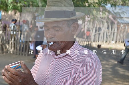 花贝有逾期还能办信用卡吗 花贝有逾期还能办信用卡吗