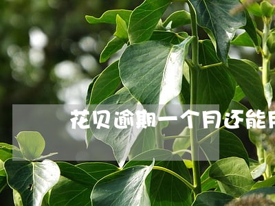 花贝逾期一个月还能用吗 花贝逾期一个月还能用吗