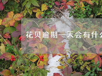 花贝逾期一天会有什么影响 花贝逾期一天会有什么影响