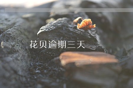 花贝逾期三天 花贝逾期三天