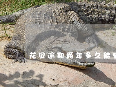 花贝逾期两年多久能恢复正信 花贝逾期两年多久能恢复正信