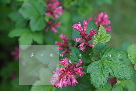 花贝逾期了几个还清会上征信吗 花贝逾期了几个还清会上征信吗