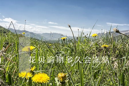 花贝逾期多久会冻结 花贝逾期多久会冻结