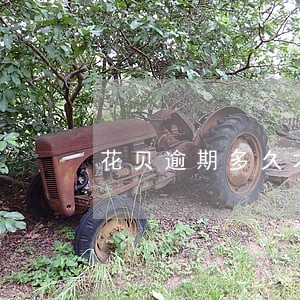 花贝逾期多久才会上征信 花贝逾期多久才会上征信