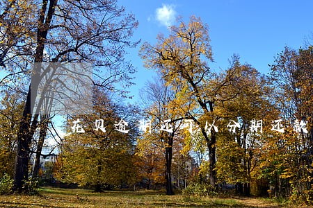 花贝逾期还可以分期还款吗 花贝逾期还可以分期还款吗