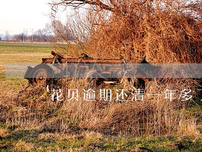 花贝逾期还清一年多了没有回复 花贝逾期还清一年多了没有回复