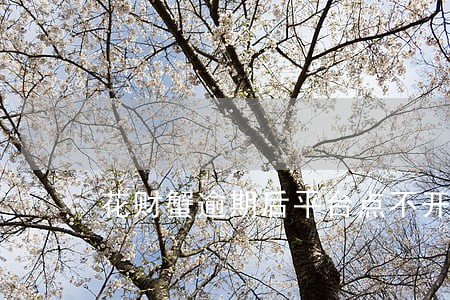 花财蟹逾期后平台点不开 花财蟹逾期后平台点不开