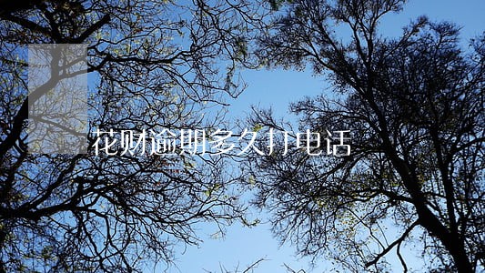 花财逾期多久打电话