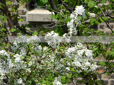 花费1万多逾期图片 花费1万多逾期图片
