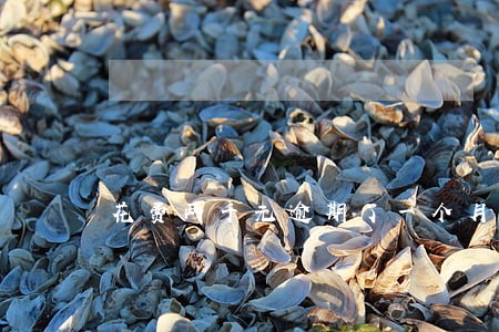 花费两千元逾期了一个月要还多少 花费两千元逾期了一个月要还多少