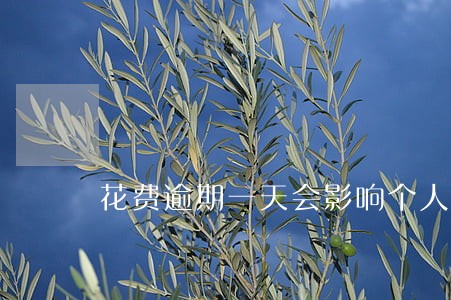 花费逾期一天会影响个人征信吗 花费逾期一天会影响个人征信吗