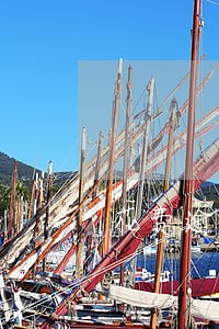 花费逾期不交会被纳入失信吗 花费逾期不交会被纳入失信吗