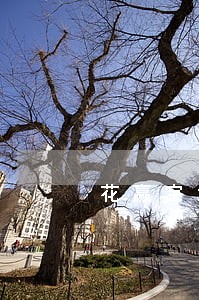 花赢宝没逾期就发短信 花赢宝没逾期就发短信
