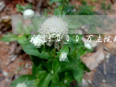 花近3000万法院购房产 花近3000万法院购房产