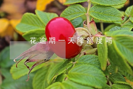 花逾期一天降额度吗 花逾期一天降额度吗