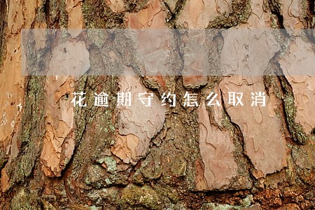花逾期守约怎么取消 花逾期守约怎么取消