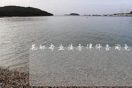 花都专业债务律师咨询免费 花都专业债务律师咨询免费