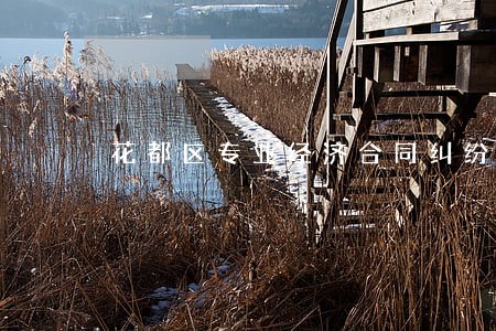 花都区专业经济合同纠纷律师团队 花都区专业经济合同纠纷律师团队