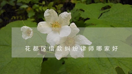 花都区借款纠纷律师哪家好 花都区借款纠纷律师哪家好