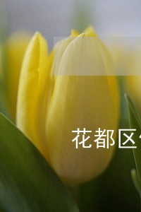 花都区债权债务律师推荐