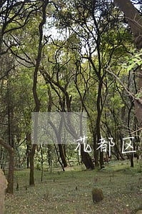 花都区出名的公司法律师事务所 花都区出名的公司法律师事务所