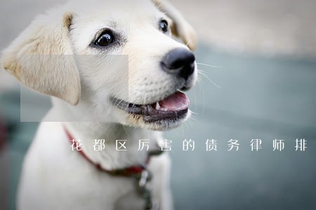 花都区厉害的债务律师排名 花都区厉害的债务律师排名