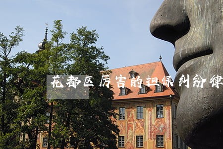 花都区厉害的担保纠纷律师推荐 花都区厉害的担保纠纷律师推荐