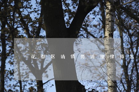 花都区请债务清理律师怎么委托 花都区请债务清理律师怎么委托