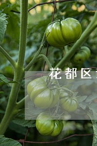 花都区请债务纠纷律师 花都区请债务纠纷律师
