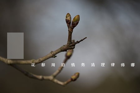 花都周边债务清理律师哪个好 花都周边债务清理律师哪个好